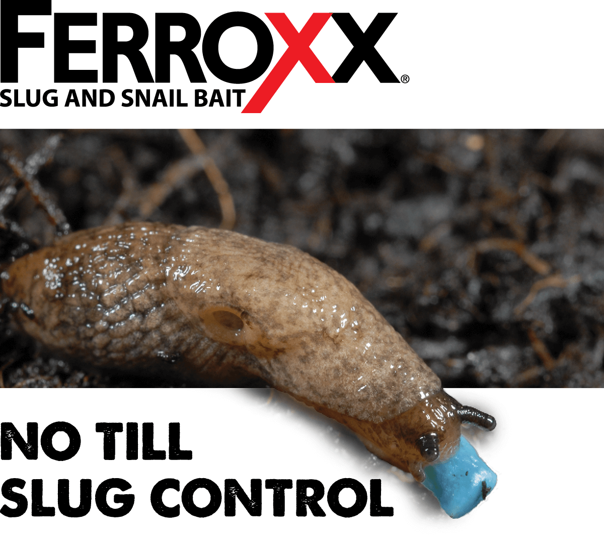 No Till Slug Control.