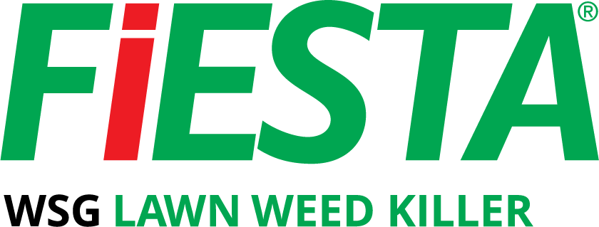 Fiesta WSG Lawn Weed Killer